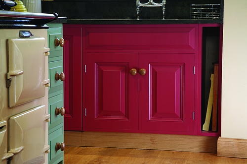 Solid Painted Tulip.